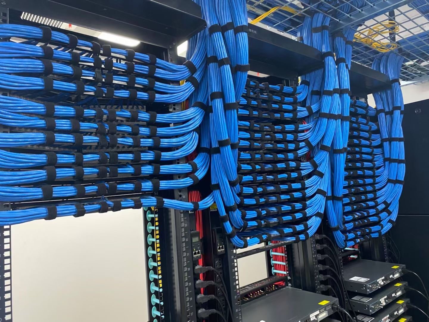 image003.jpg image003.jpg